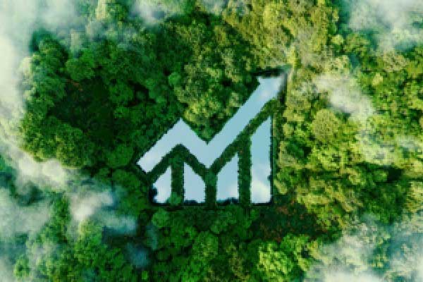 田洪良：2月4日主要货币短线操作指南